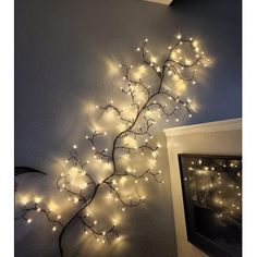 a branch with lights hanging from it on the wall