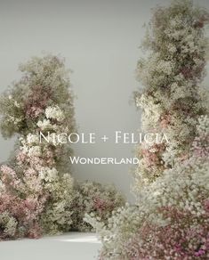 an artistic display of flowers and trees with the words nicole + felica wonderlandland