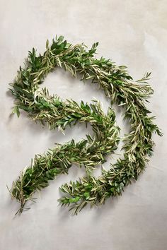 a bunch of green leaves on top of a white surface with the letter s spelled out