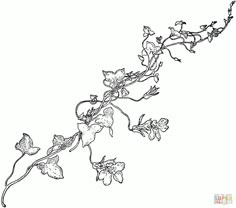 an ink drawing of flowers on a branch