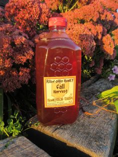 a bottle of raw honey sitting on top of a wooden bench next to some flowers