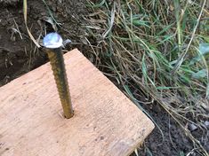 an old nail sitting on top of a piece of wood next to grass and dirt