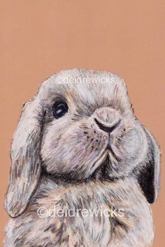 a pastel drawing of a rabbit's face and ears, with brown background