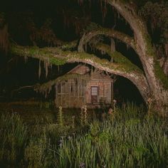 an old shack is surrounded by moss and trees