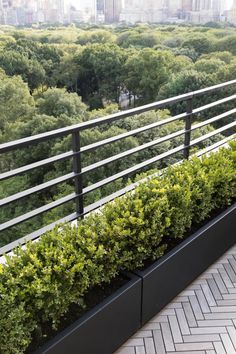 a balcony with plants on the side and a view of trees in the back ground