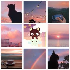 a collage of photos with cats and rainbows in the sky, coffee cup on table