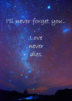 the words i'll never forget you love never dies in front of a night sky