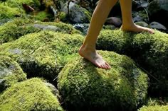 a person walking on top of green moss covered rocks with their feet in the air