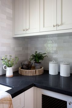 the kitchen counter is clean and ready to be used as a place for potted plants