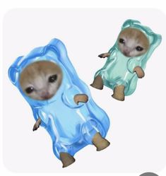 two baby hamsters are wrapped in blue and green plastic bags, one is wearing a sleeping bag