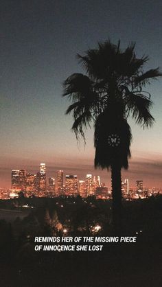 a palm tree with the city lights in the background