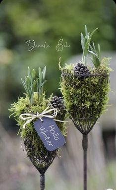 two tall metal planters with moss and pine cones tied to them, each holding a sign that says welcome home