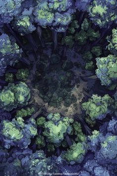 an overhead view of broccoli plants in blue and green colors, looking down into the center