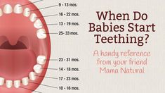 When do babies start teethingFind out when you'll see baby's first tooth—and when you can expect all the other teeth too—in our baby teething chart. Tooth Party, Natural Teeth Whitening Diy, Teeth Whitening Diy, Teeth Bleaching