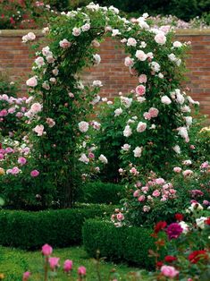 a garden filled with lots of flowers next to a lush green hedge covered in pink and white roses