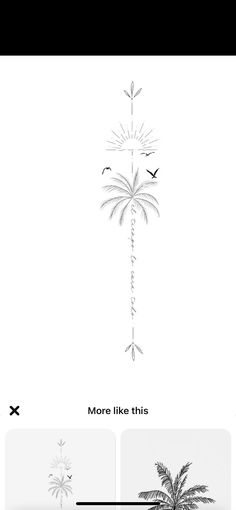 the palm tree is shown in black and white, with an arrow pointing to it