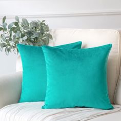 two teal pillows on a white couch with a potted plant in the corner