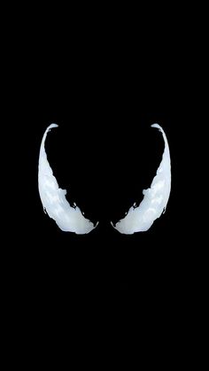 two white wings on a black background