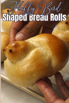 a person is holding a piece of bread in their hand with the words, fully baked shaped bread rolls