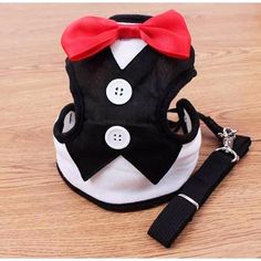 a black and white dog with a red bow tie on it's collar is sitting next to a leash