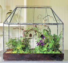 a glass house filled with plants on top of a counter