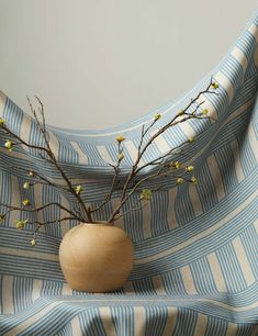 a vase with some flowers in it sitting on a blue and white striped cloth background