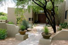 an outside view of a house with trees and plants