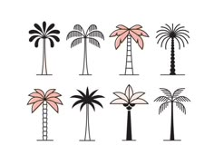 palm trees with different shapes and sizes