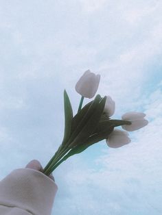 a person's hand holding flowers in the sky