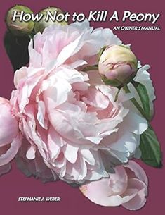 a book cover with pink flowers and green leaves on the bottom right corner, how not to kill a peony an owner's manual