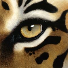 a close up of a tiger's eye with black and white spots on it