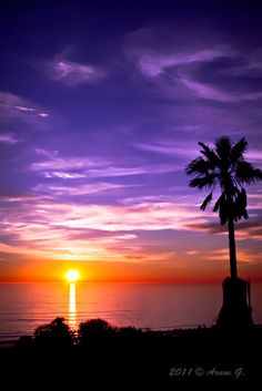 a palm tree is silhouetted against the setting sun over the ocean with clouds in the sky