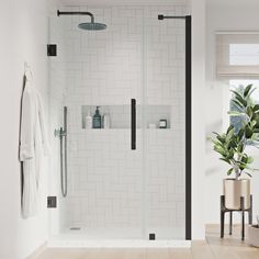 a bathroom with a shower, toilet and plant in the corner on the floor next to the window