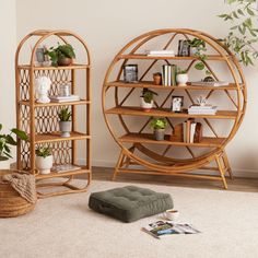 two shelves with plants and books on them