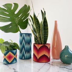 three pots with plants in them sitting on a marble counter top next to two vases