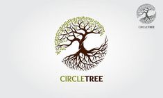 the logo for circle tree, which is designed to look like a tree with leaves and roots