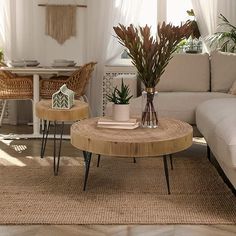 a living room filled with furniture and plants on top of a wooden table in front of a white couch