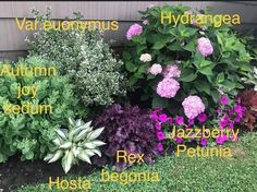 the names of different types of plants in front of a house with grass and flowers