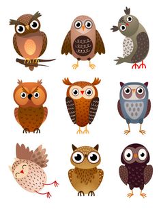 an image of different owls on a white background