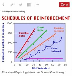 Schedules of reinforcement visual. Communication Interventions, Schedules Of Reinforcement, Bcaba Exam, Bcba Exam, Ap Psychology, Operant Conditioning, Visual Schedules, Behavioral Analysis, Behavior Interventions