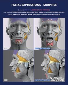 an image of facial expressions on the face and neck, with different angles to show them