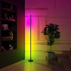 there is a potted plant next to a tall pole in front of a colorful wall