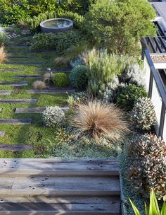 a very nice looking garden with lots of plants