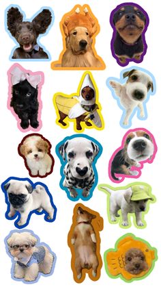 many different types of dogs are shown in the shape of magnets on a white background