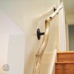 a tree branch mounted to the side of a wall next to a wooden stair case