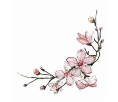 watercolor painting of pink flowers on white background