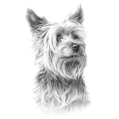 a black and white drawing of a dog