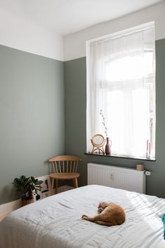 a cat laying on top of a white bed in a bedroom next to a window