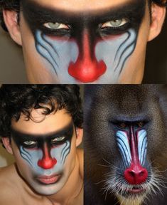 Monkey Makeup, Funky Makeup, Labyrinth Movie, Face Art Makeup, Halloween Makeup Inspiration, Makeup Class, Dope Makeup, Stage Makeup, Creative Makeup Looks