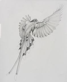 a drawing of a bird flying in the air